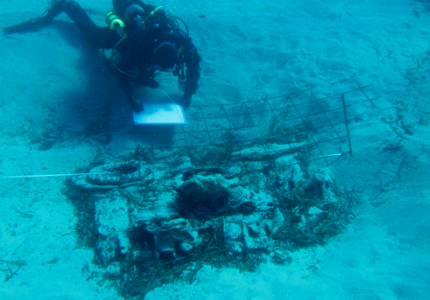 Studentes Diving